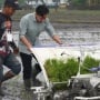 Wapres Gibran Panen Kritikan Usai Tanam Padi Sambil Berjalan Maju, Padahal Ini Alasannya