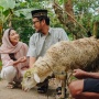 Bolehkah Kurban 1 Ekor Kambing untuk Satu Keluarga? Begini Hukumnya dalam Islam