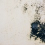 Cara Ampuh Bersihkan Black Mold di Rumah, Berikut Tahapannya