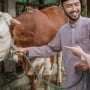 Dampak PHK: Jumlah Orang Berkurban Idul Adha 2025 Anjlok!
