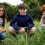 Reboot Harry Potter Ungkap Pemeran Golden Trio, Gimana Reaksi J.K. Rowling?
