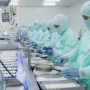 Olahan Seafood Siap Saji yang Kekinian: Dari Dapur Indonesia Siap ke Lidah Global