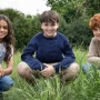 Umumkan Pemain Harry, Hermione, dan Ron, Kapan Serial Harry Potter Tayang?