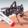 Gerakan 'United Against Dengue' Diluncurkan Demi Tekan Angka Kematian DBD di Indonesia