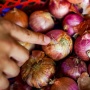 Bank Indonesia Punya Cara Turunkan Harga Bawang, Begini Strateginya