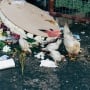 Mulai dari Kulkas: Ini 5 Tips Praktis Cegah Sampah Makanan di Rumah