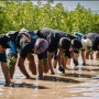 Bersama Pulihkan Pesisir: Marriott Luncurkan Inisiatif 10.000 Mangrove Untuk Indonesia