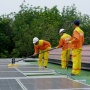 Green Jobs Jadi Jalan Menuju Ekonomi Berkelanjutan, Apa Sih Itu?