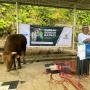 PNM dan BAZNAS Antar Kurban dari Donasi Karyawan hingga ke Ujung Negeri