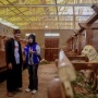 BRI Peduli Tingkatkan Kesejahteraan Peternak dan Ekonomi Desa BRILiaN Sukalaksana