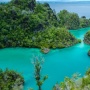 Ada Kapal JKW dan Iriana Angkut Nikel dari Raja Ampat, Ini Sosok Pemiliknya
