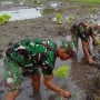 Kekuatan Perang atau Tim Pembangunan? Polemik Tentara Garap Ketahanan Pangan Saat Dunia Memanas