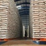 Mengurai Anomali Harga Beras di Tengah Stok Melimpah, Benarkah Ada Mafia?