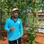 Inovasi Sayuran dan Pupuk Organik ala Petani Tegalsari Perangi Krisis Iklim