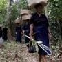 Di Sulawesi Selatan, Suku Kajang Buktikan Hutan Bisa Selamat dengan Patuhi Hukum Adat