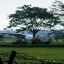 Densus 88 Serius Dalami Ancaman Bom ke Pesawat Saudia Airlines yang Bawa Jemaah Haji Indonesia