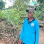 Dulu Diragukan Kini Diakui, Saga Petani Tegalsari Wujudkan Pertanian Organik