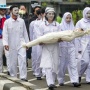 700 Lebih Warga Palestina Tewas Ditembak Israel Saat Ambil Air