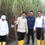 Akselerasi Swasembada Pangan, Wapres Gibran dan Mentan Amran Panen Raya Gula di Banyuwangi