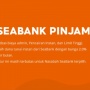 Fitur Seabank Pinjam Tidak Muncul, Ini Penyebab dan Solusinya