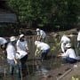Jawab Krisis Lingkungan, Brand Kecantikan Ini Tanam Mangrove di Lombok