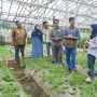 Bagaimana Inovasi Anak Muda di Bandung Barat Bantu Petani Beradaptasi dengan Perubahan Iklim?