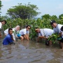 Sharp Indonesia Bergerak: Ribuan Mangrove Ditanam, Terumbu Karang Direstorasi!