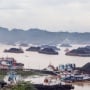 Pesut Mahakam: Nyawa Sungai yang Perlahan Menghilang