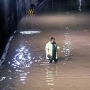 Terowongan Cawang Lumpuh Diterjang Banjir, Kendaraan dari Halim ke Tanjung Priok Dialihkan