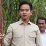 Celurit Gibran Copot saat Panen Tebu, Dimaknai Sinis Jabatan Segera Dicopot