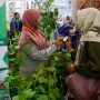Wujudkan Kota Hijau, Jakarta Gelar Festival Urban Farming 2025