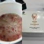 Bak Langit dan Bumi! Adu Lezat Nasi Kotak Presiden 2025 vs Bubur Aneh di Piala Dunia Antarklub