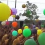 Viral Bupati Batanghari "Ngambek" Gegara Balon Terbang Duluan, Marah dan Tahan SK PPPK?