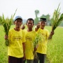 Produksi Petani Bulutana Naik 65 Persen Lewat PKT Berseri