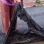 Heboh Proyek Pengaspalan Diprotes Warga karena Mudah Mengelupas: Ini Aspal Apa Masker Sih?
