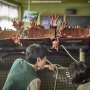 Siap Diproduksi, 4 Pemain Baru Gabung All of Us Are Dead Season 2