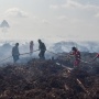 Dikepung 20 Ribu Titik Api, WALHI Tunjuk Hidung Ratusan Korporasi: Negara Tunduk Pada Pembakar Hutan