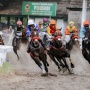 IHR-Indonesia Derby 2025, Panggung Bergengsi Balap Kuda Menuju Triple Crown
