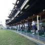 Golfphoria 2025: Saatnya Golf Virtual Jadi Gaya Hidup Baru yang Inklusif dan Mendunia