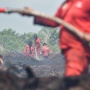 Riau Potensi Kebakaran Hutan, BMKG Mulai Modifikasi Cuaca Sepekan