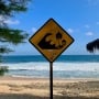 9 Negara Siaga Tsunami Pasca Gempa Terbesar Keenam Sepanjang Sejarah