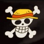 Legislator DPR Kecam Pengibaran Bendera One Piece: Bisa Jadi Makar