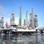 Bioremediasi: Solusi Alami Laut untuk Mengurai Tumpahan Minyak