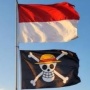 Makar atau Kreativitas? Pro dan Kontra Elite Politik Tanggapi Pengibaran Bendera One Piece