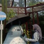 Madame Wang Secret Garden: Kafe ala Studio Ghibli di Tengah Kota Malang!