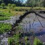 Upaya Pemulihan Ekosistem di Danau Ranu Pani