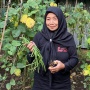 Ketua Kelompok Mekaar Jadi Penggerak Pemberdayaan di Kampung Madani PNM