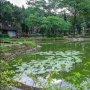 Pemprov DKI Integrasikan Tiga Taman Jadi Pusat Ekologi dan Pengendali Banjir di Selatan Jakarta