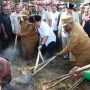 Hadiri Acara Bakar Batu, Mendagri dan Menteri PKP Jalin Dialog Bersama Masyarakat Papua Pegunungan