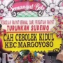 Pajak Batal Tak Cukup, Bupati Pati Kini Dituntut Mundur: "Mundur Ksatria atau Dilengserkan Paksa"